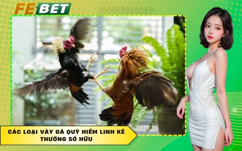 Các loại vảy gà quý hiếm linh kê thường sở hữu