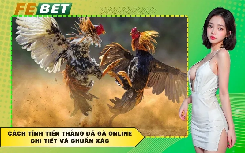 Cách Tính Tiền Thắng Đá Gà Online Chi Tiết Và Chuẩn Xác