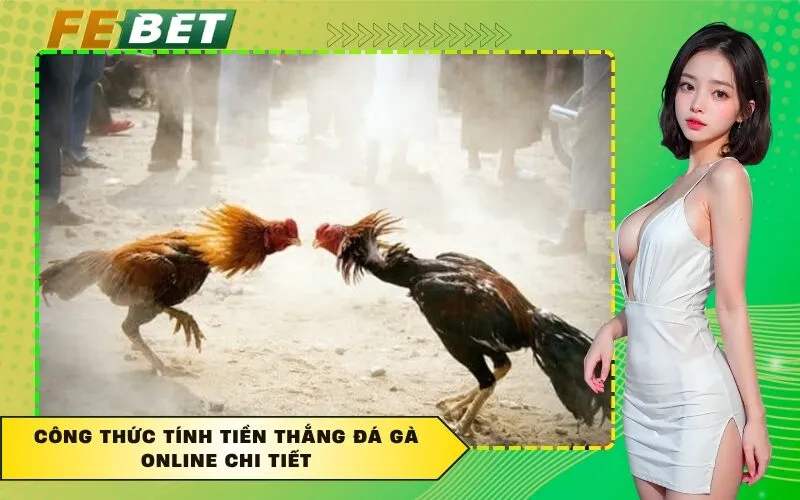 Công thức tính tiền thắng đá gà online chi tiết