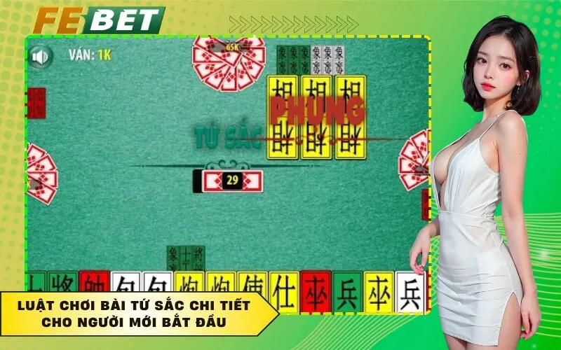 Luật chơi bài Tứ Sắc chi tiết cho người mới bắt đầu