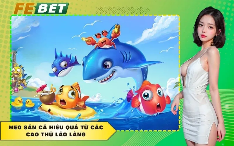 Mẹo săn cá hiệu quả từ các cao thủ lão làng