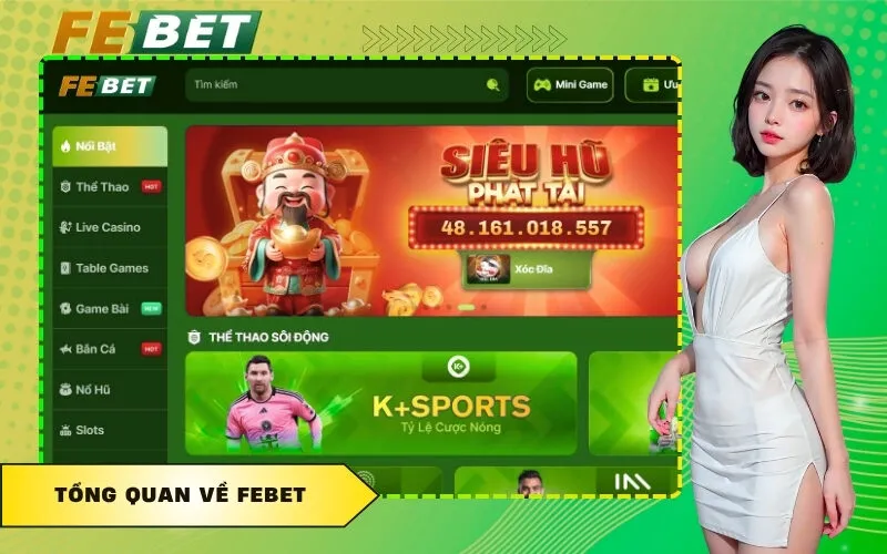 Tổng quan về FEBET
